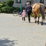 IMG_1981